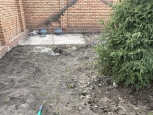 Устройство газона на участке Рулонный газон