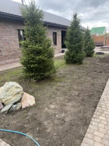 Устройство газона на участке Рулонный газон
