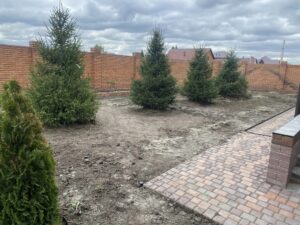 Устройство газона на участке Рулонный газон